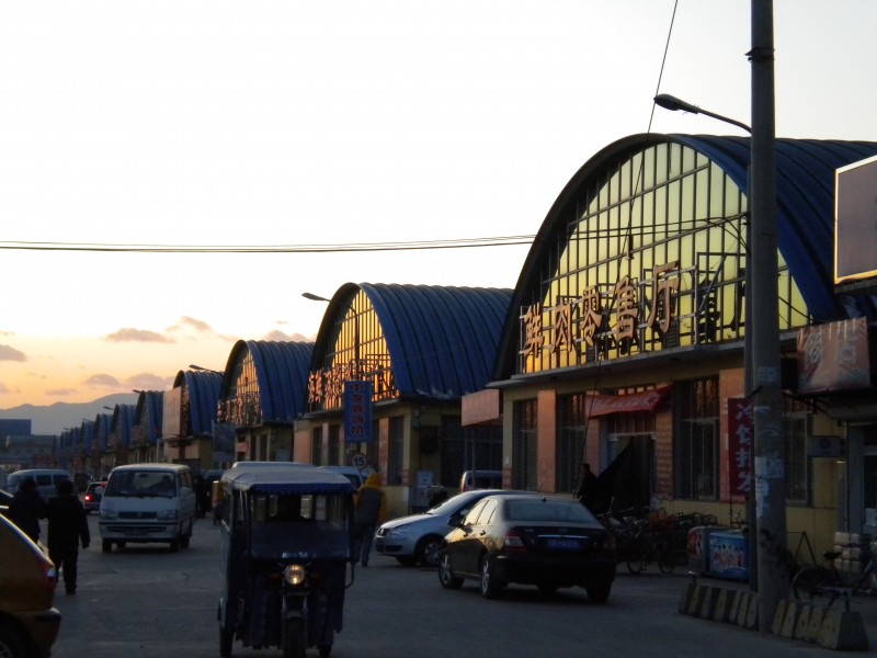 DSCN0131